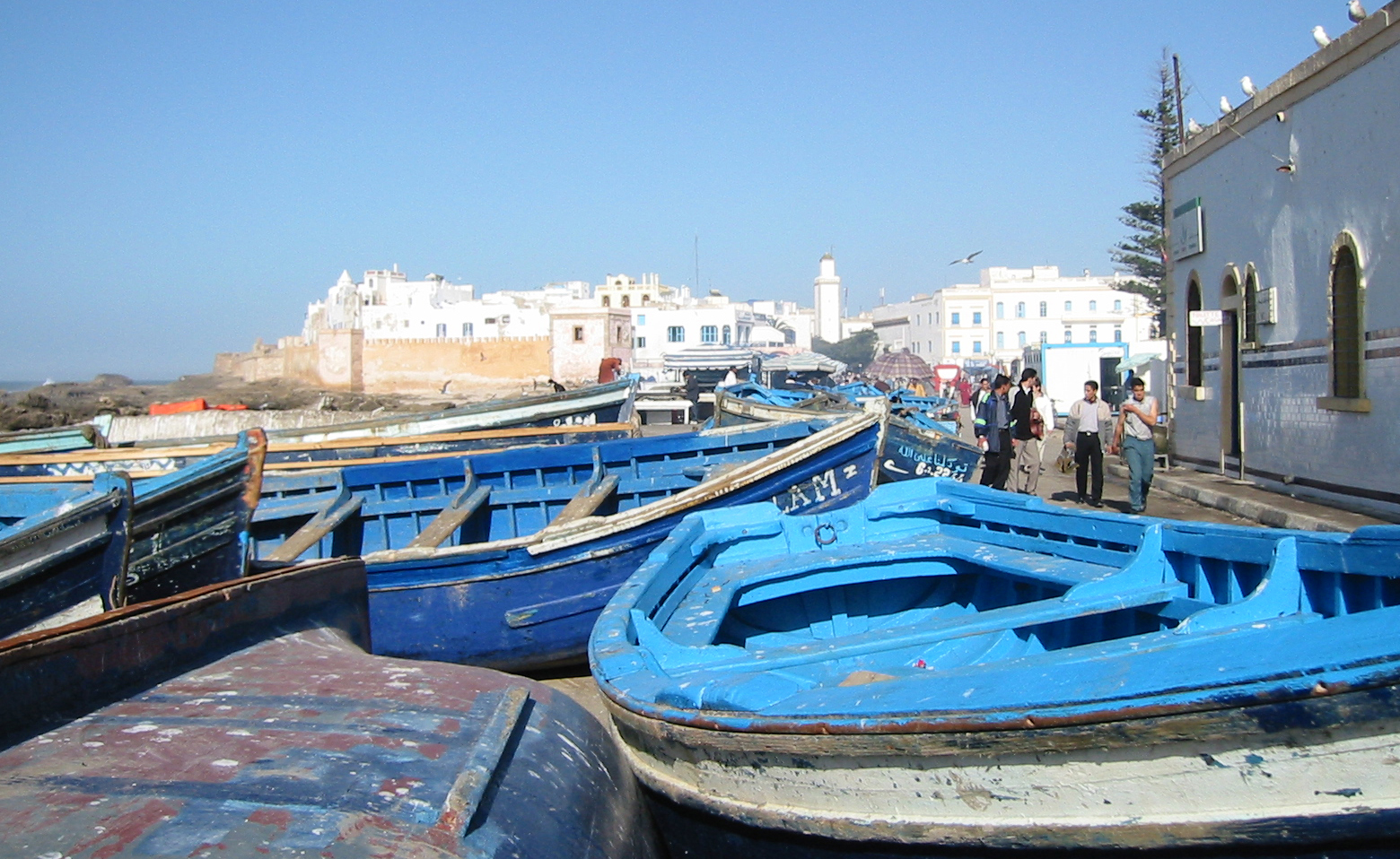De blå båtene er typiske for Essaouira. Gamlebyen og medinaen i bakgrunnen.